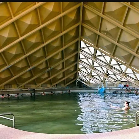 куяльник Odesa
